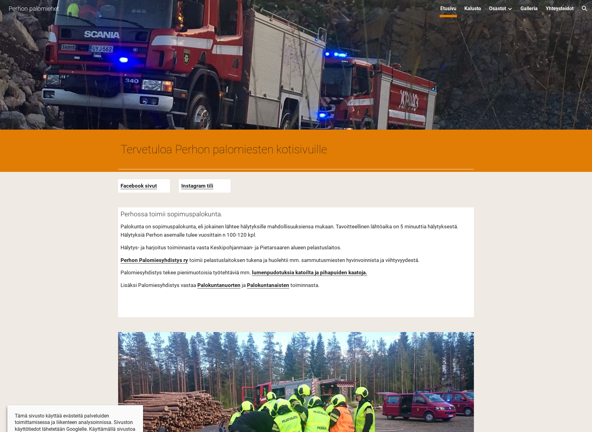 Screenshot for perhonpalomiehet.fi