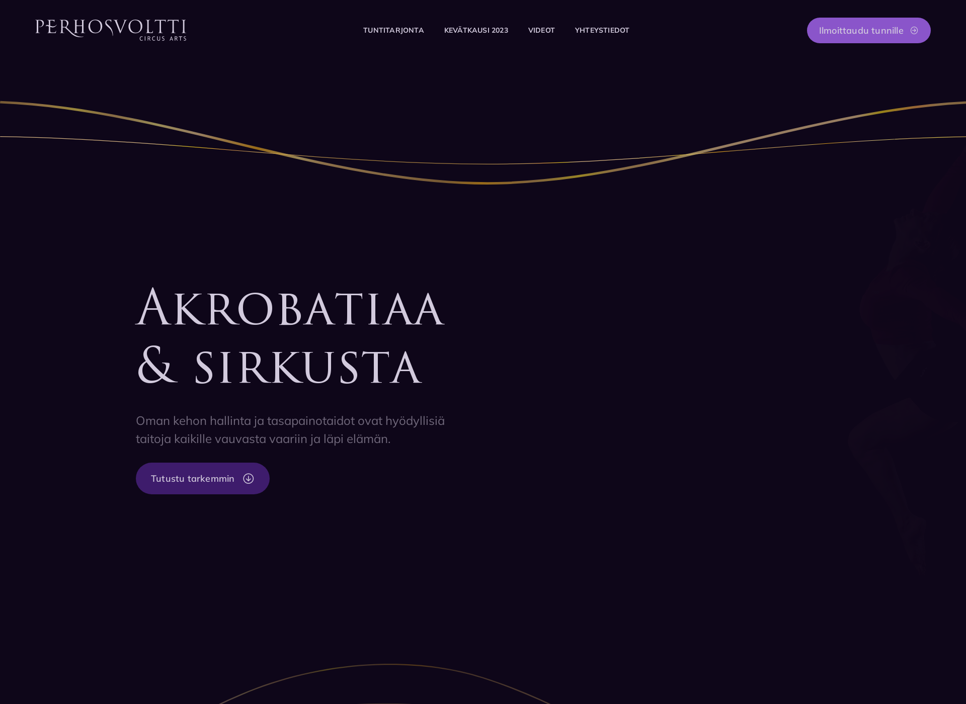 Screenshot for perhosvoltti.fi