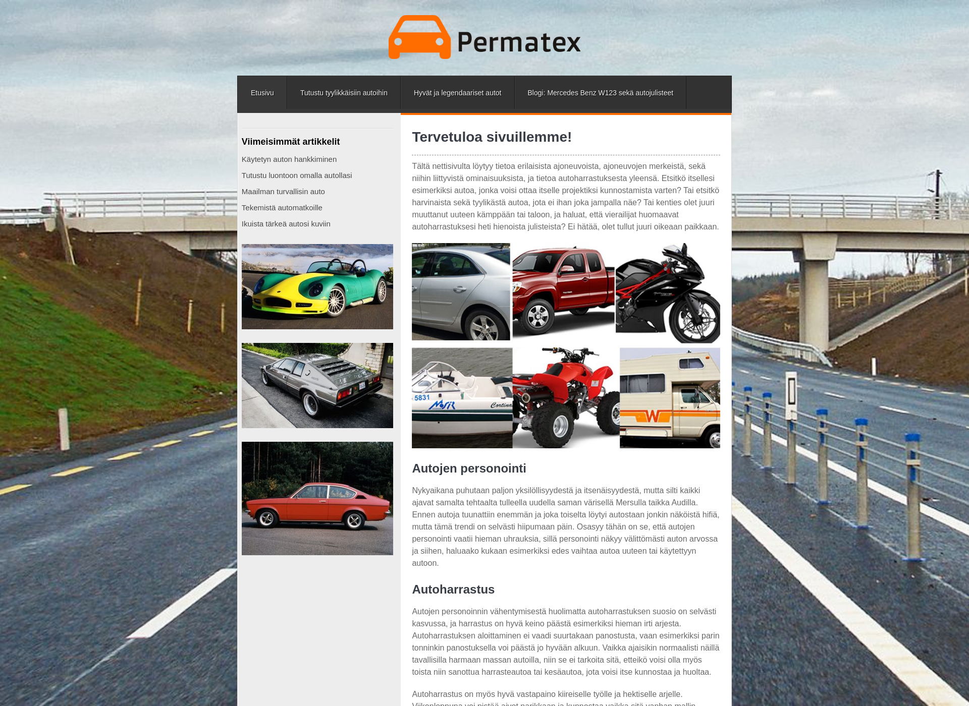 Skärmdump för permatex.fi