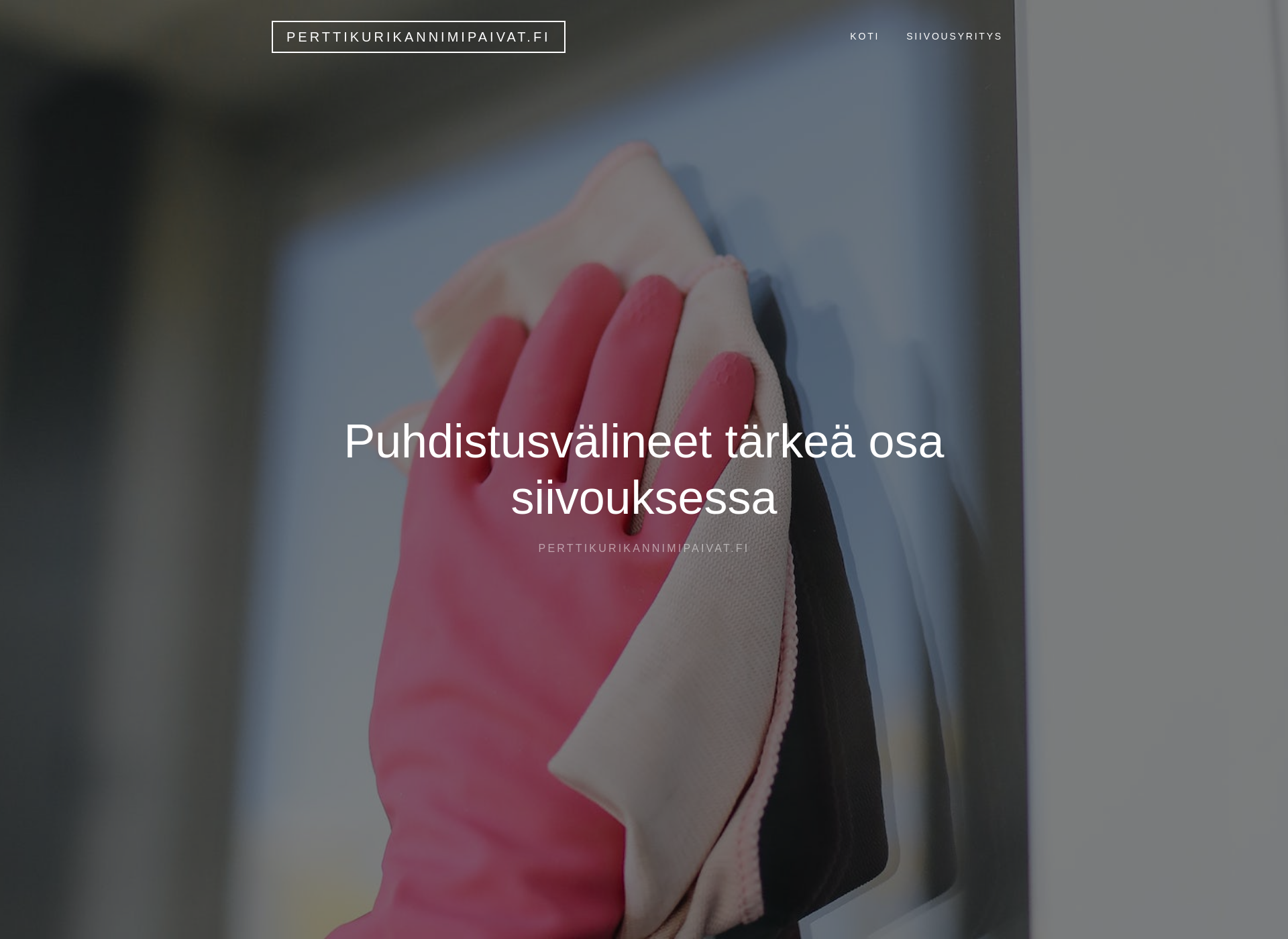 Skärmdump för perttikurikannimipaivat.fi