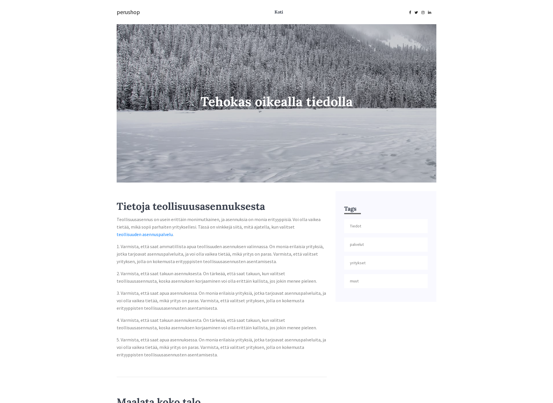 Skärmdump för perushop.fi
