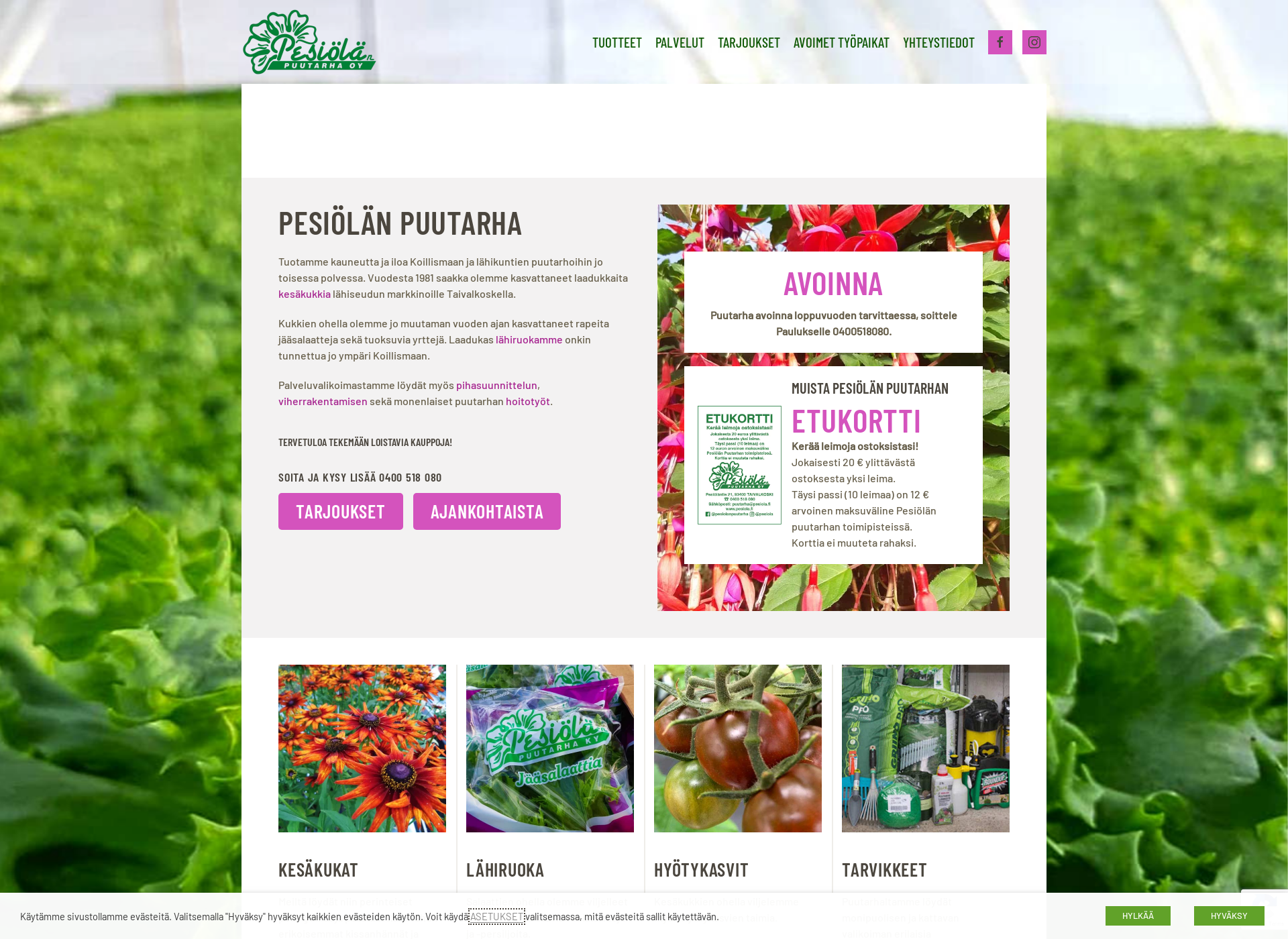 Screenshot for pesiolanpuutarha.fi
