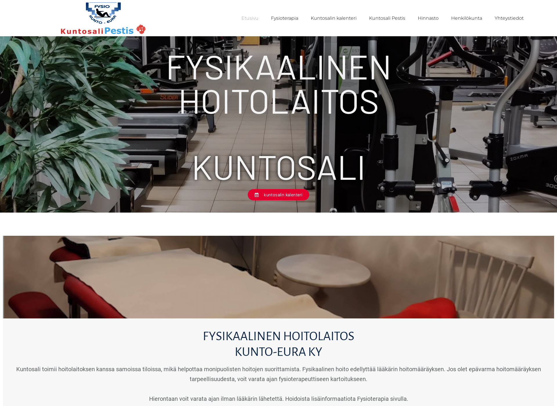 Screenshot for pestis.fi