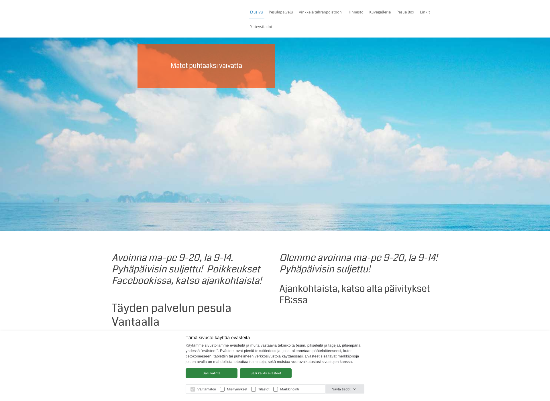 Skärmdump för pesulabox.fi