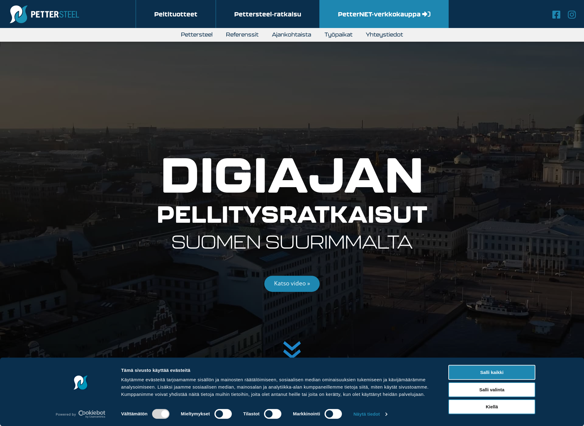 Skärmdump för pettersteel.fi