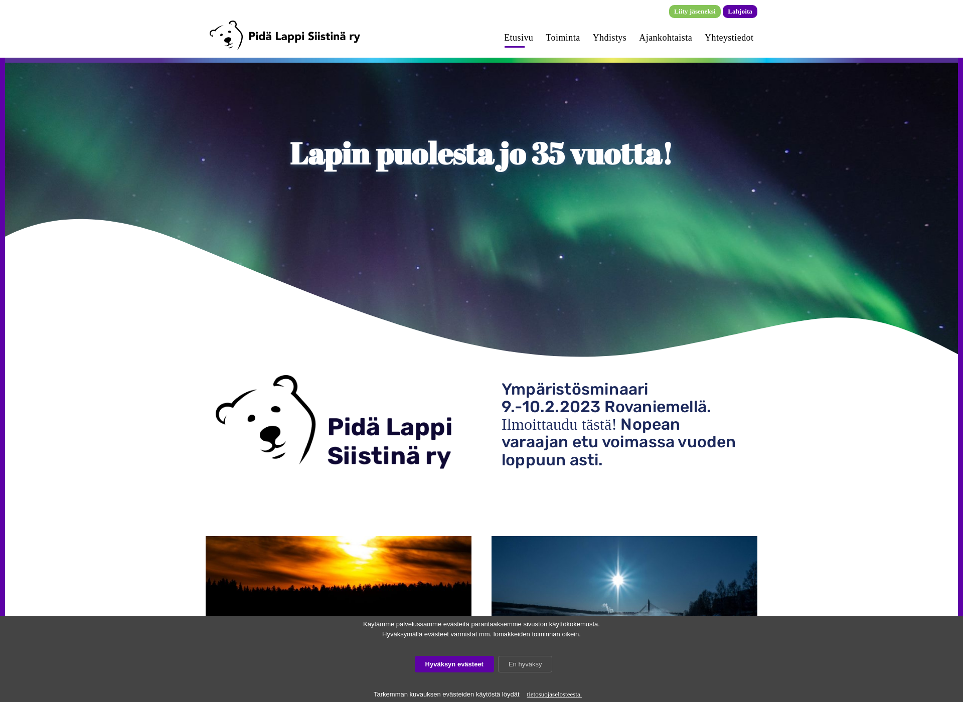 Screenshot for pidalappisiistina.fi