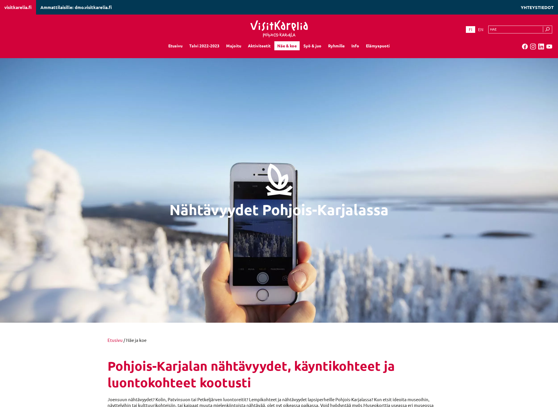 Skärmdump för pielisenmuseo.fi