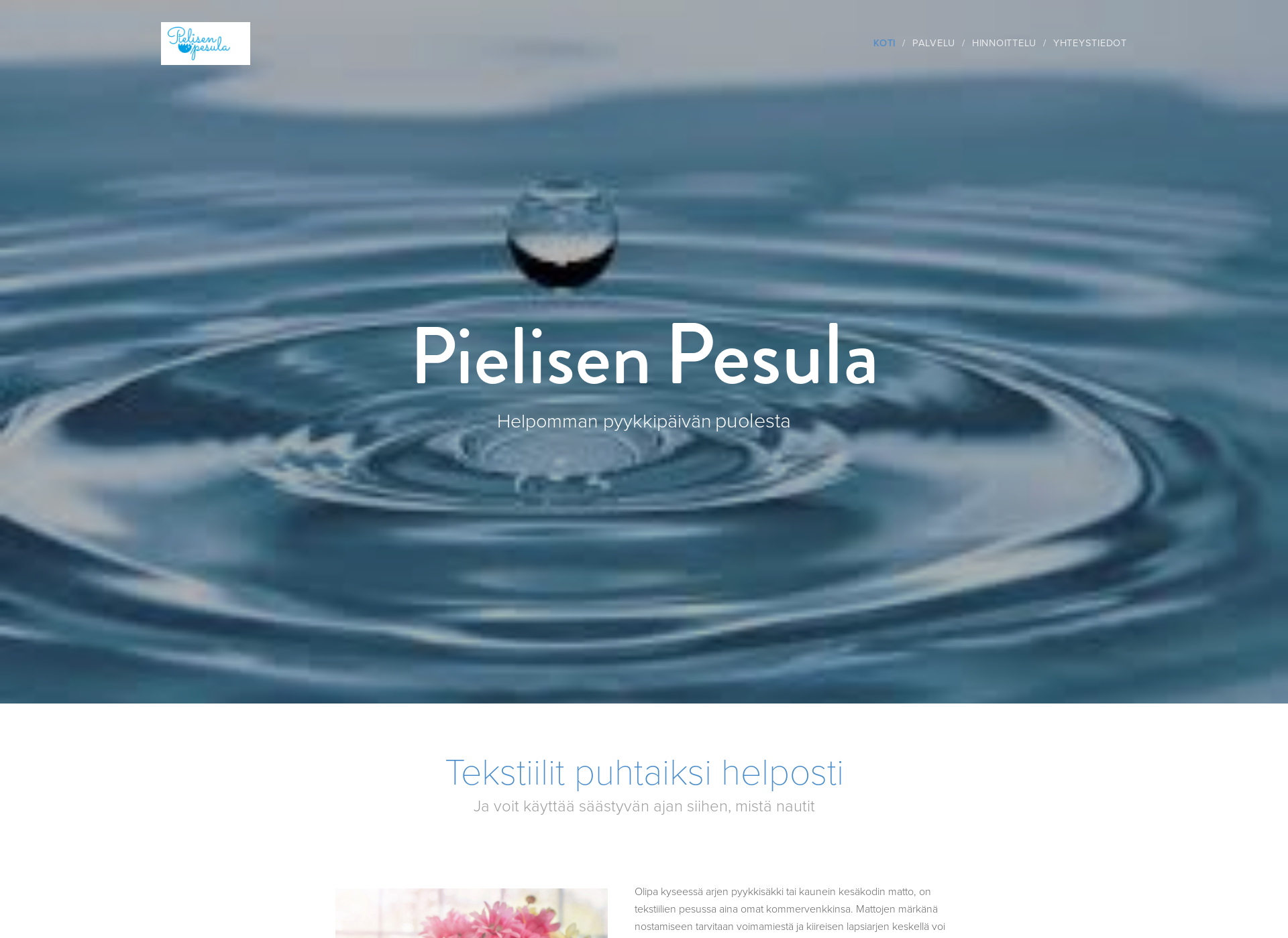 Screenshot for pielisenpesula.fi