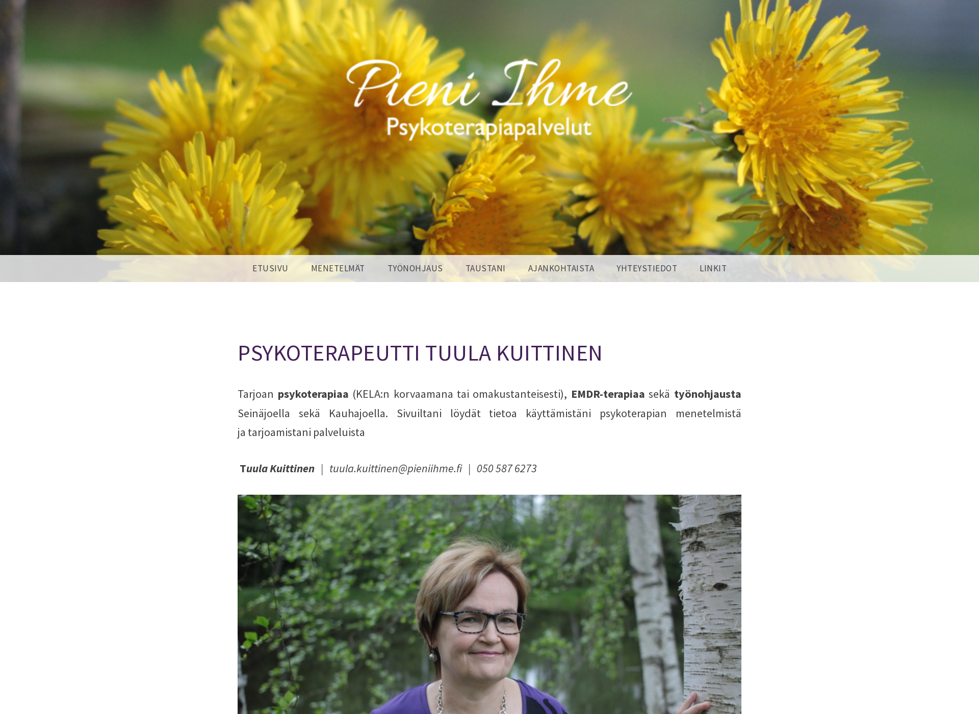 Screenshot for pieniihme.fi