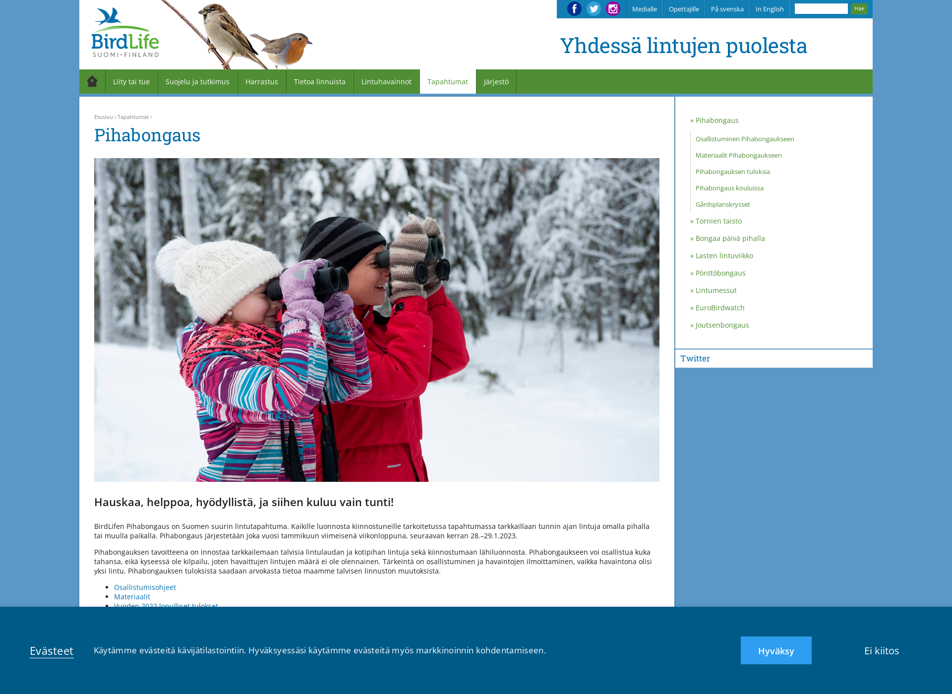 Screenshot for pihabongaus.fi