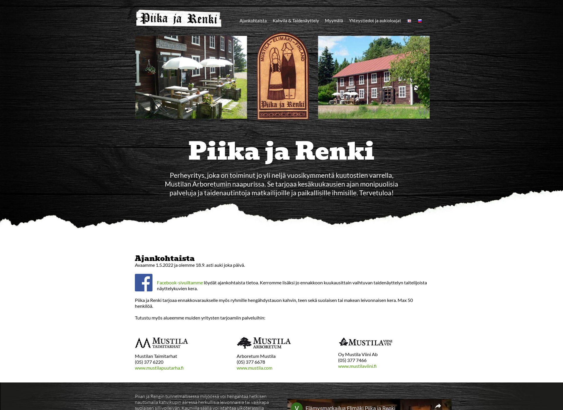 Screenshot for piikajarenki.fi