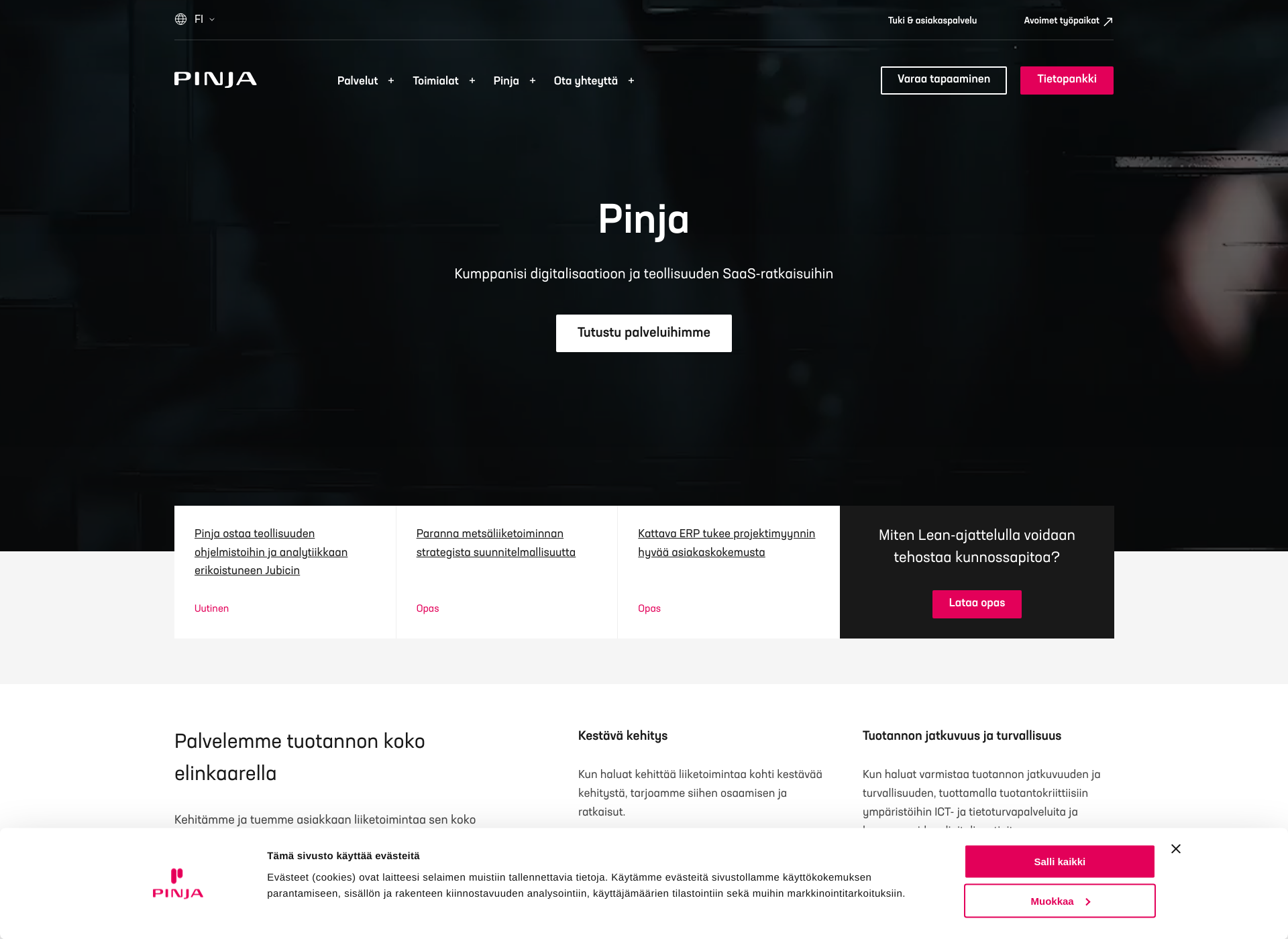 Screenshot for piimega.fi