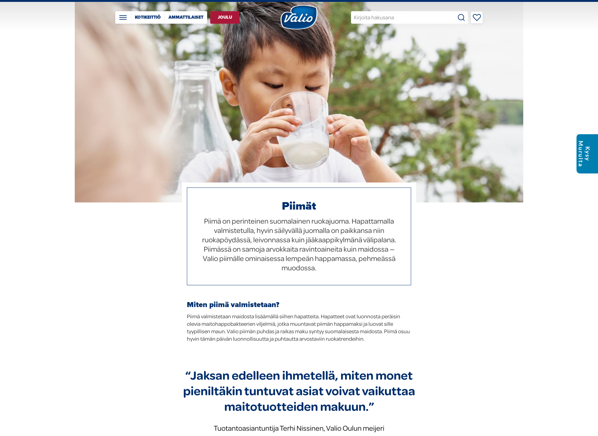 Screenshot for piimäplus.fi