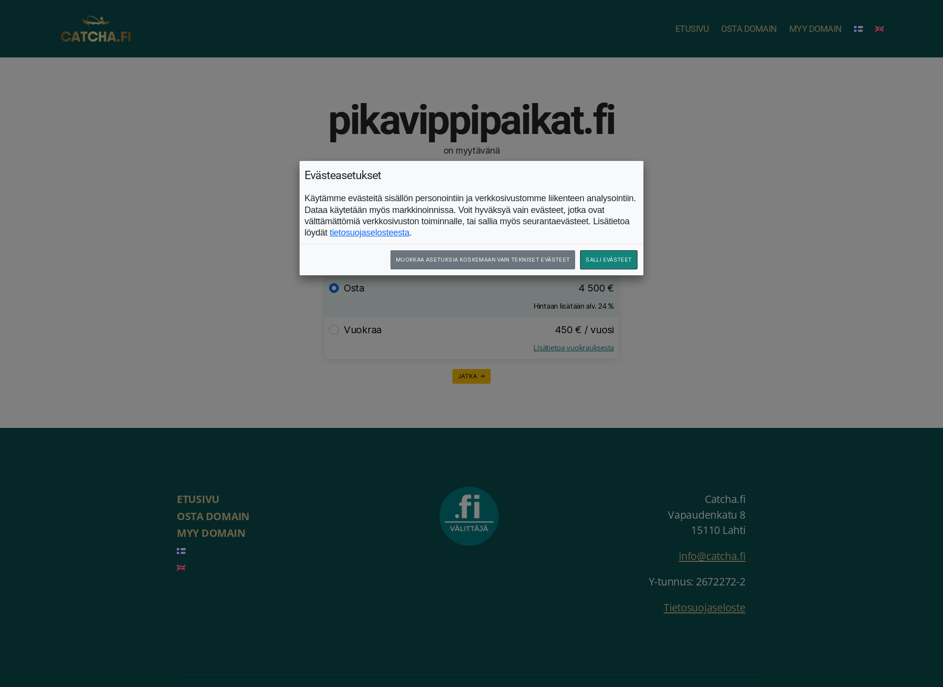 Skärmdump för pikavippipaikat.fi