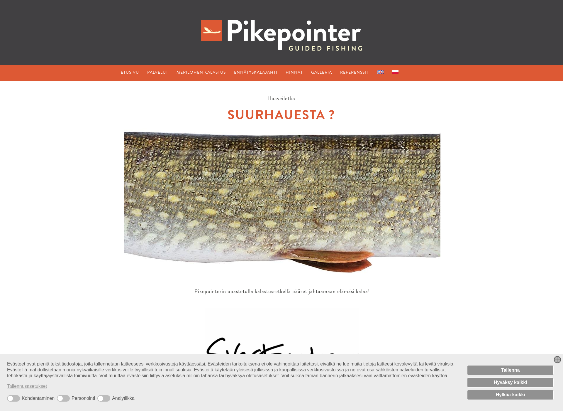 Screenshot for pikepointer.fi