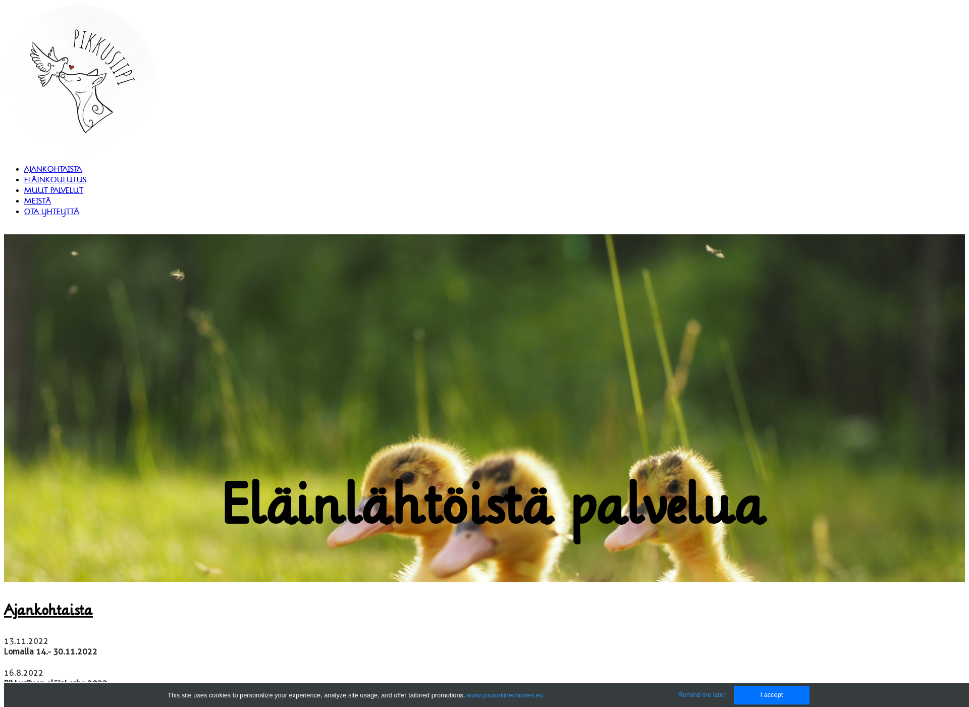 Screenshot for pikkusiipi.fi