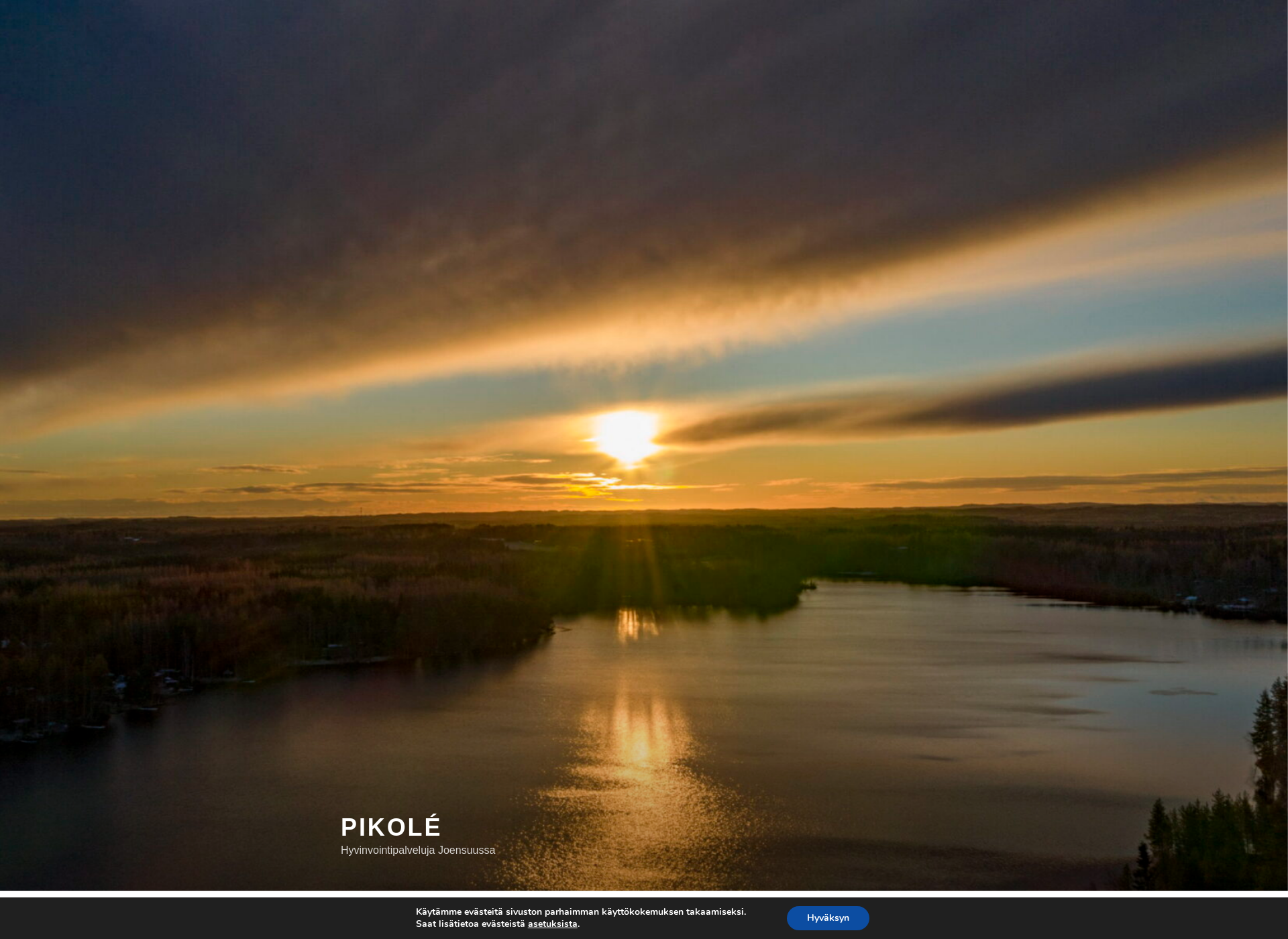 Screenshot for pikole.fi