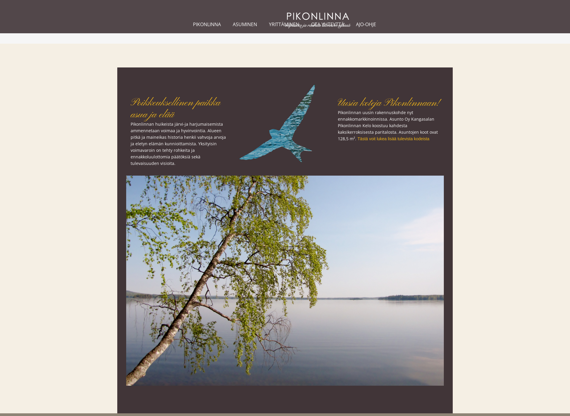 Screenshot for pikonlinna.fi