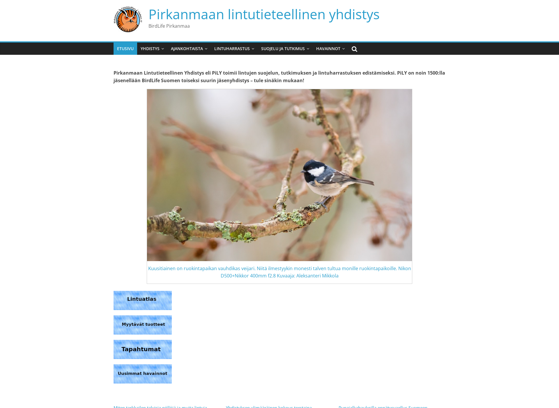 Skärmdump för pily.fi