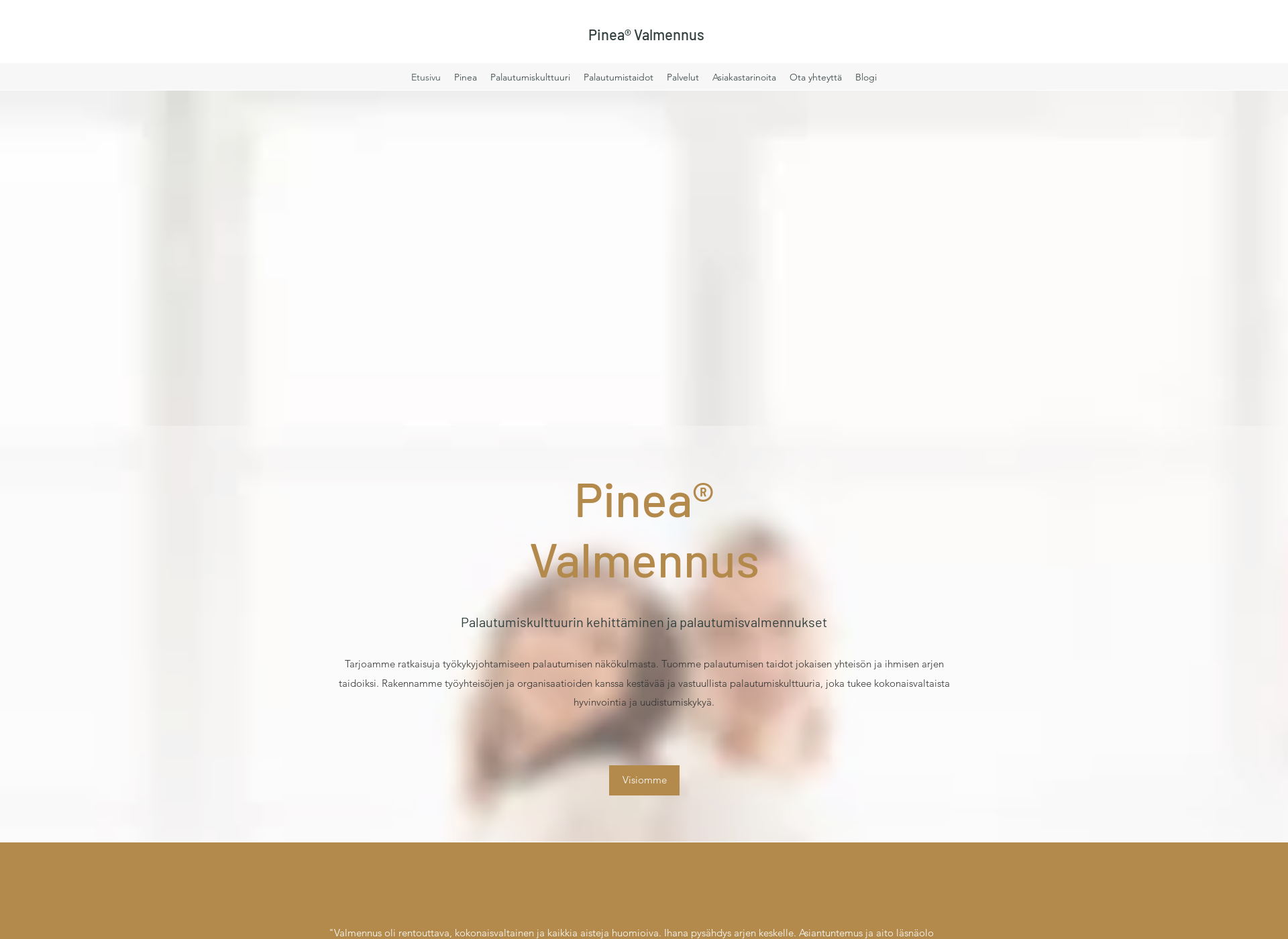 Screenshot for pineavalmennus.fi
