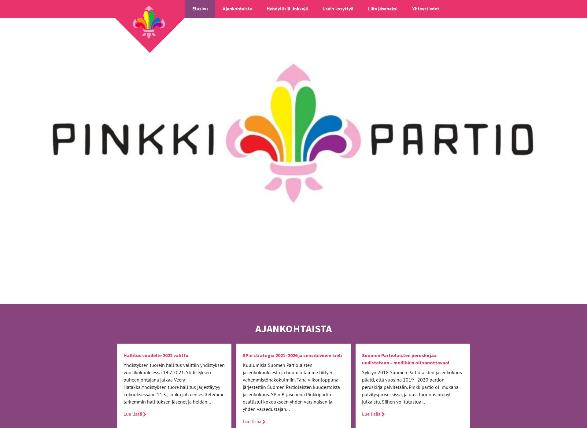 Skärmdump för pinkkipartio.fi