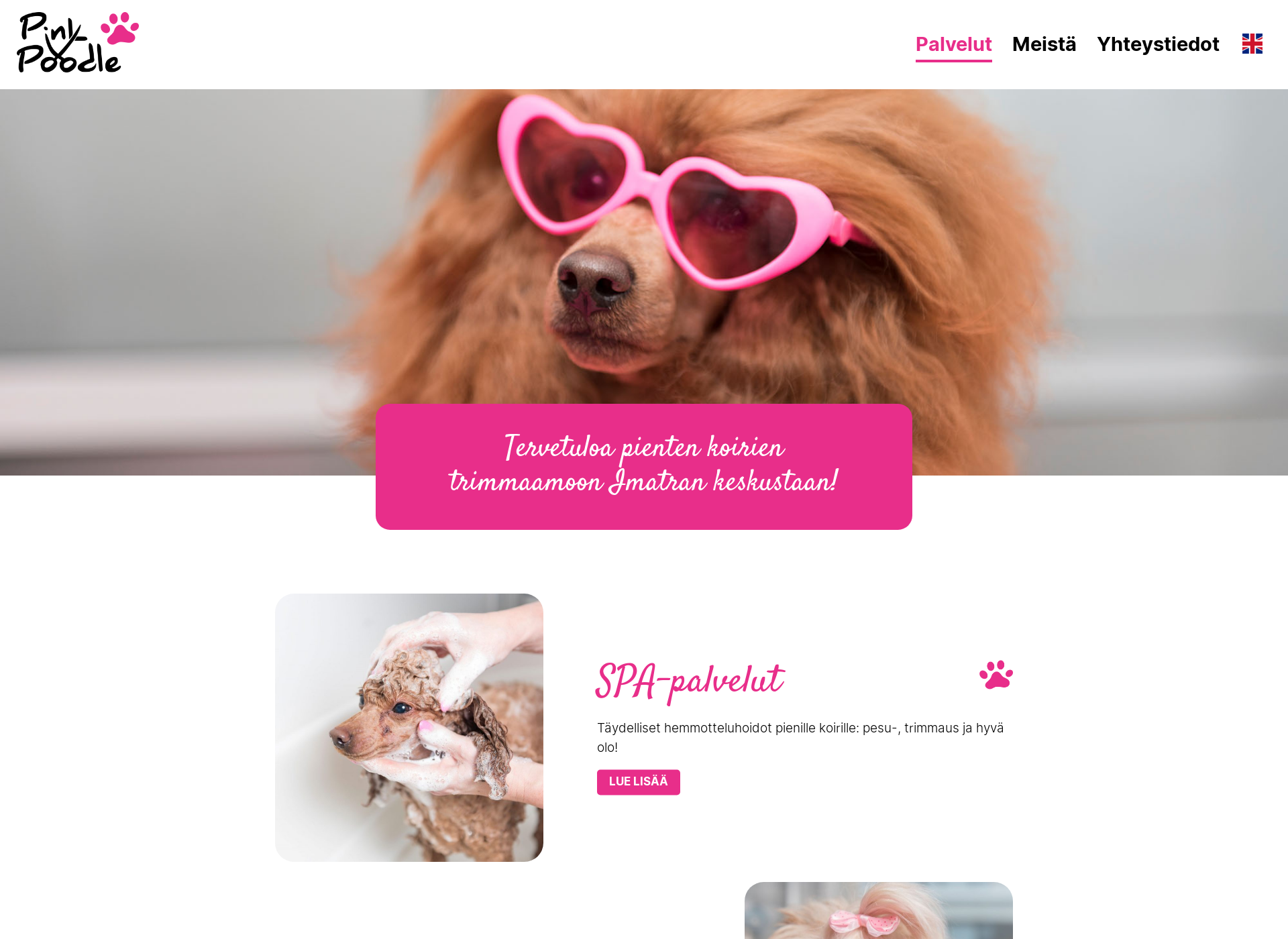 Skärmdump för pinkpoodle.fi