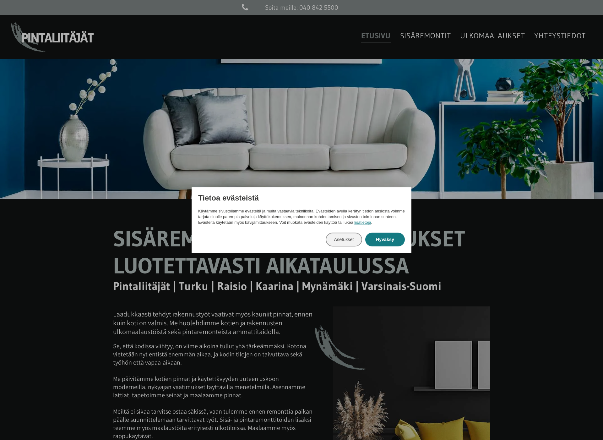 Screenshot for pintaliitajat.fi