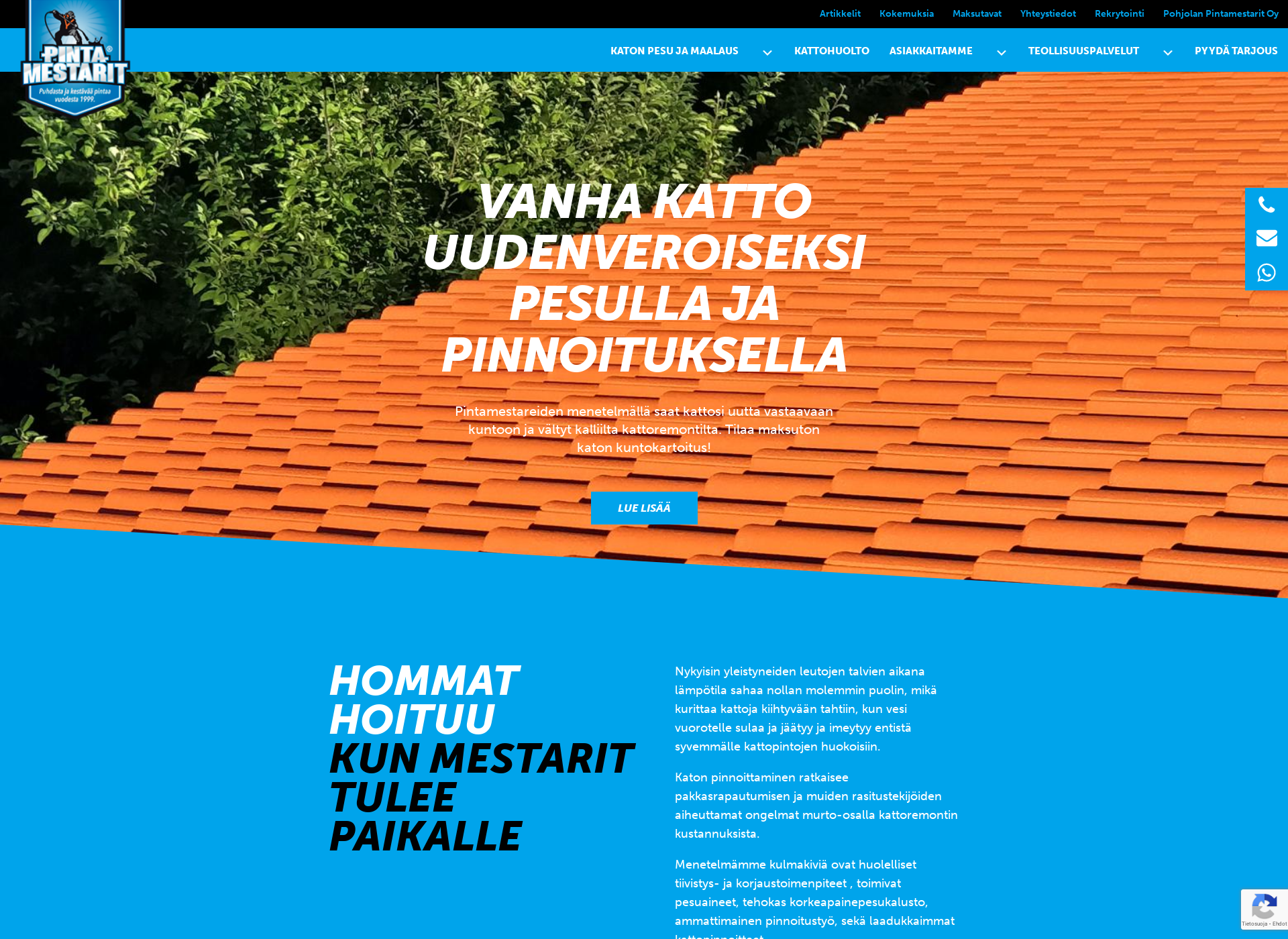 Screenshot for pintamestarit.fi