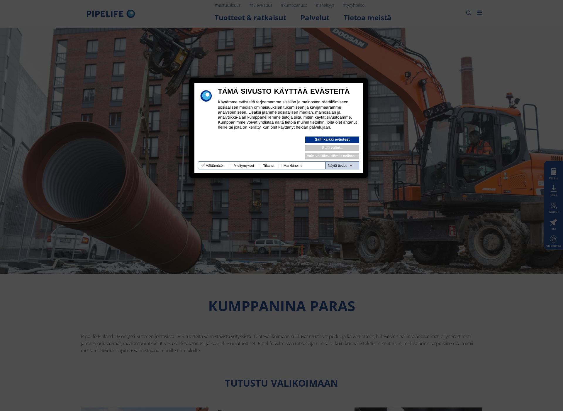 Skärmdump för pipelife.fi
