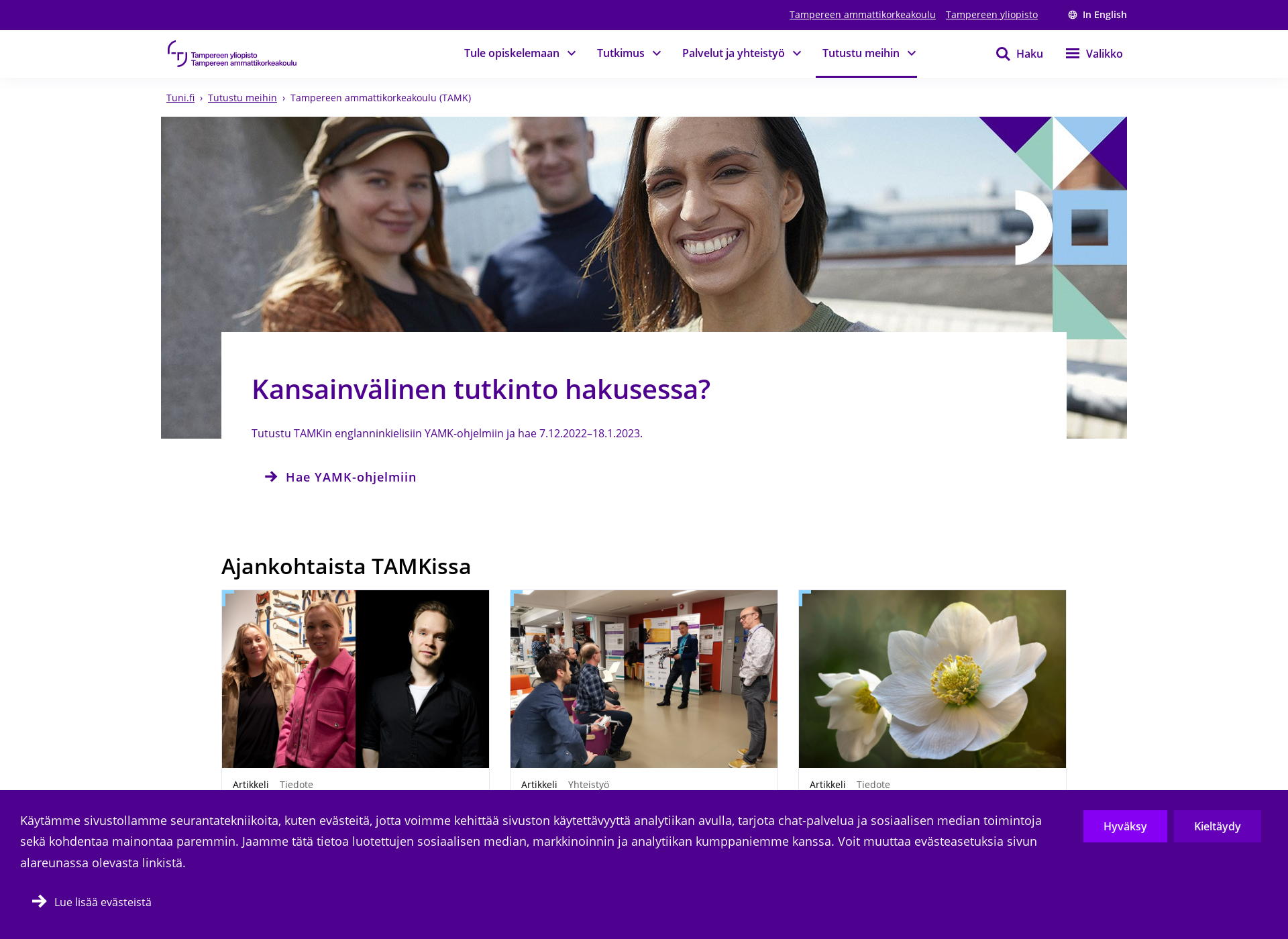 Screenshot for piramk.fi