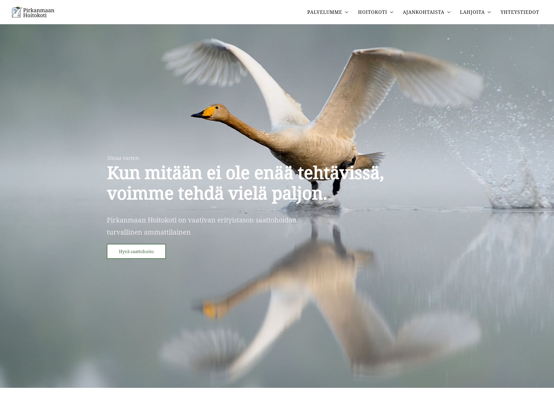 Screenshot for pirkanmaanhoitokoti.fi