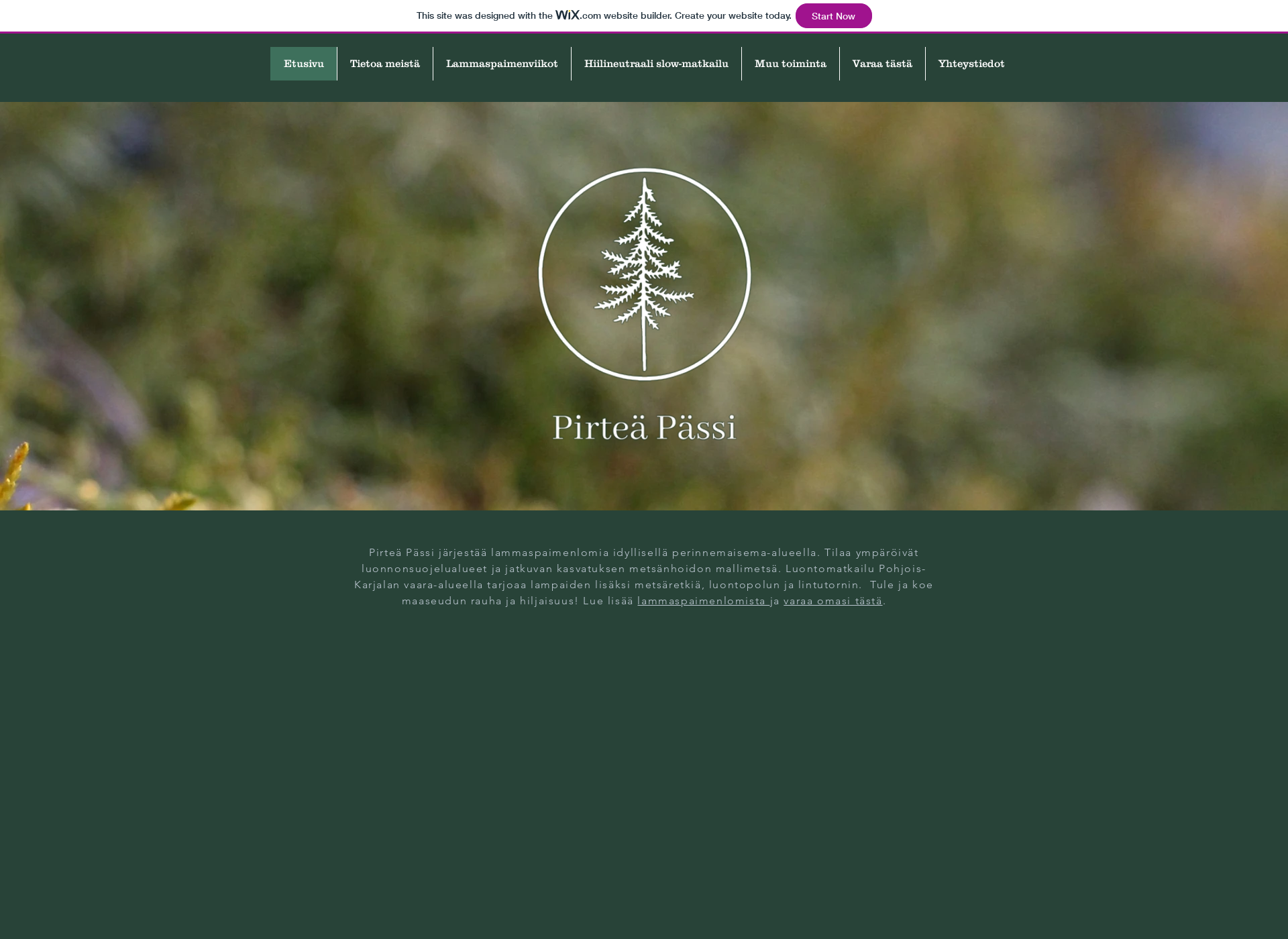 Screenshot for pirteapassi.fi