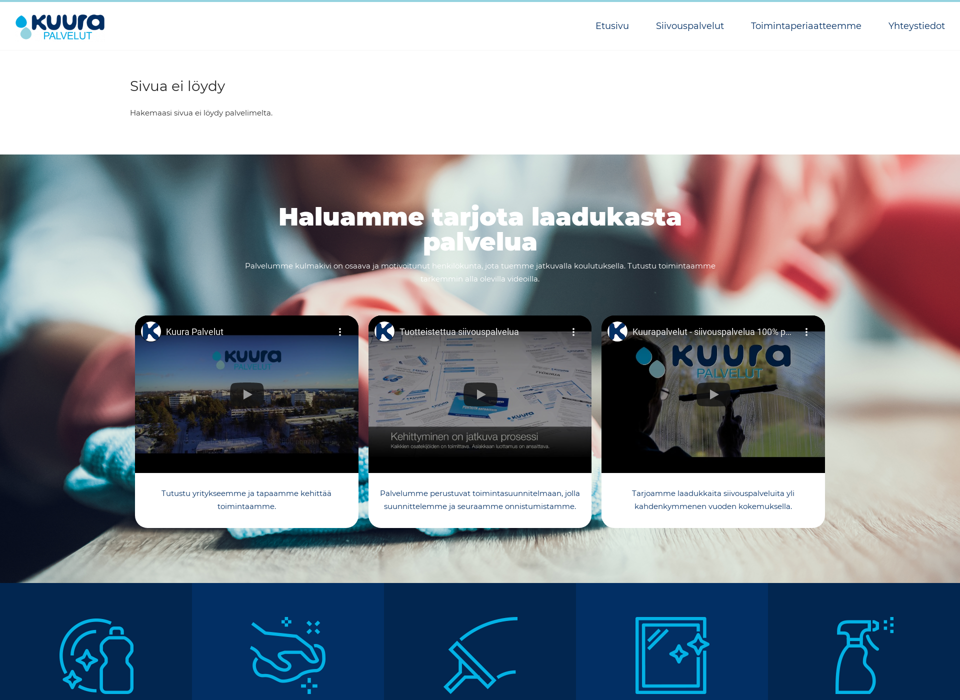 Skärmdump för pitko.fi