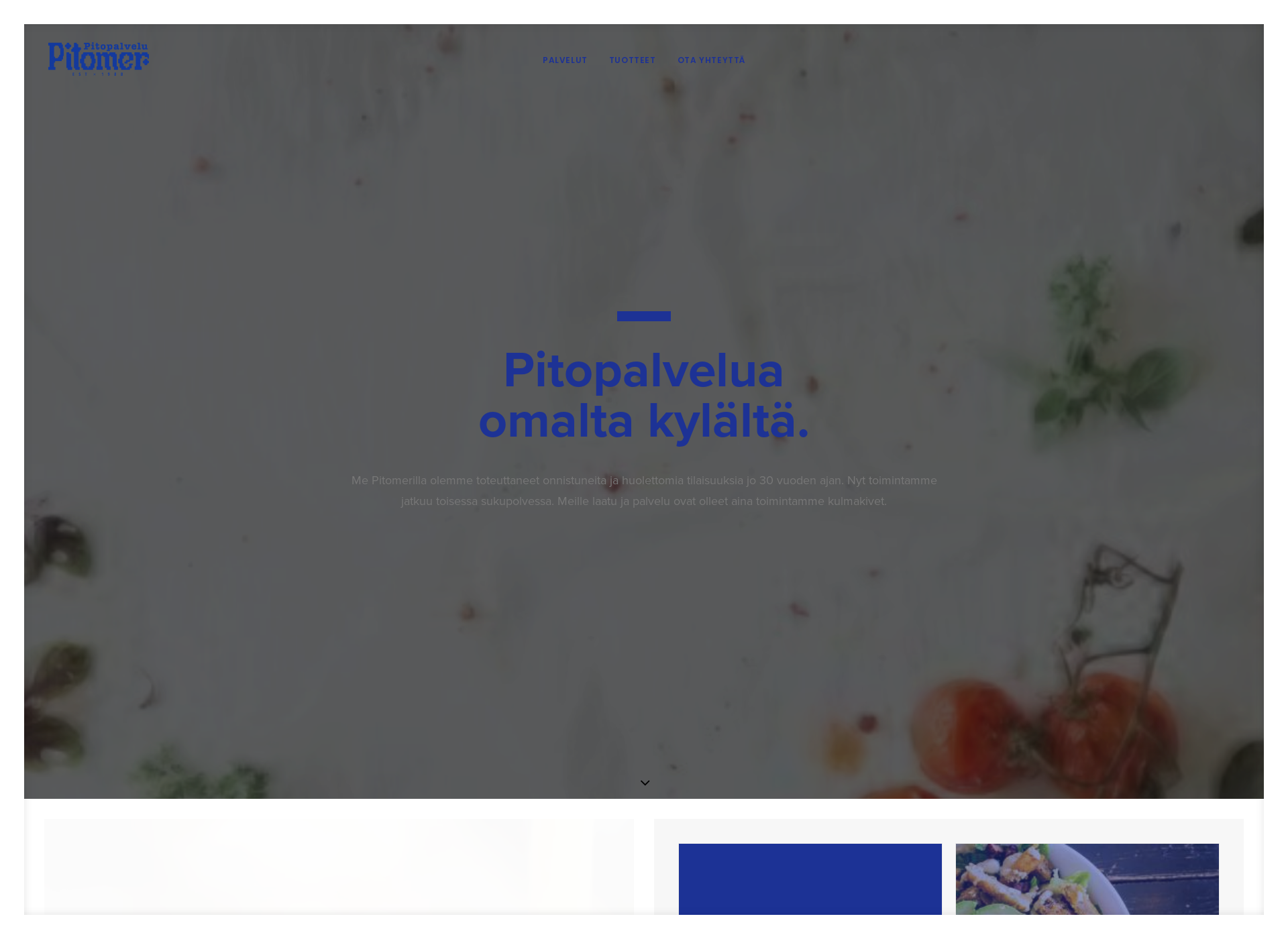 Skärmdump för pitomer.fi