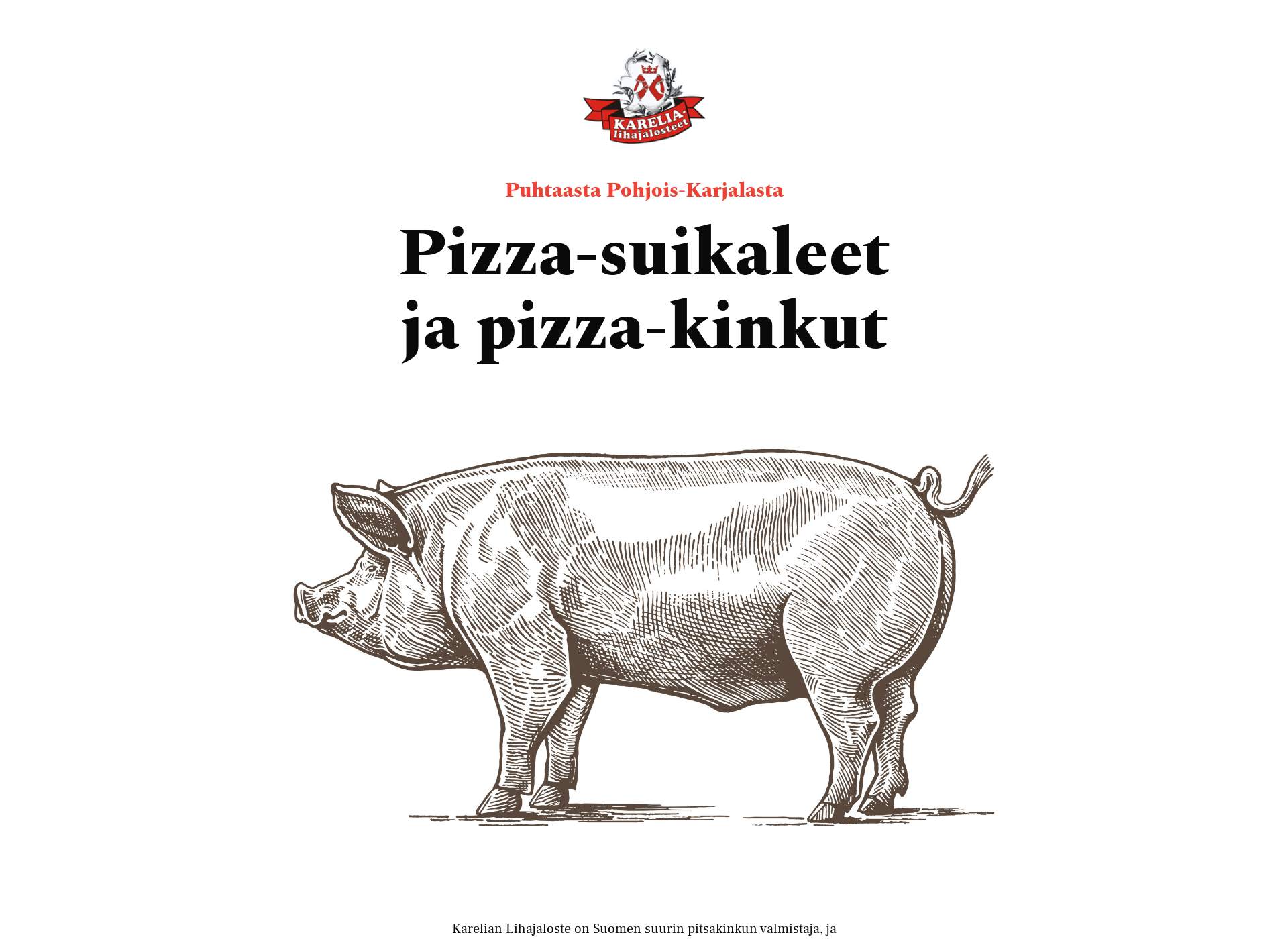 Screenshot for pizzakinkku.fi