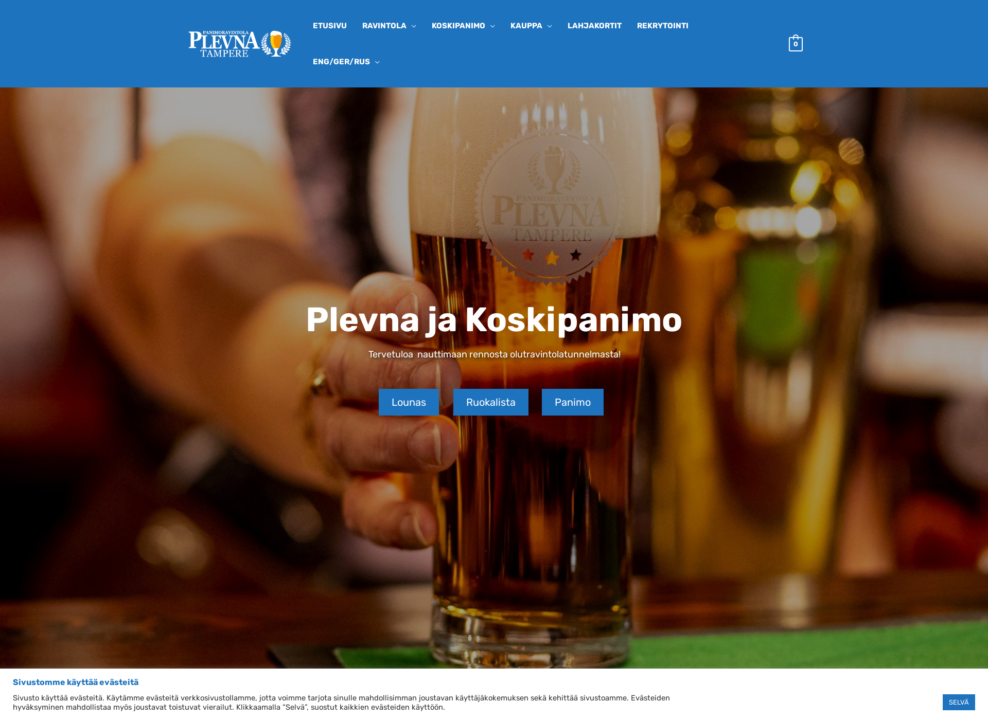 Screenshot for plevna.fi