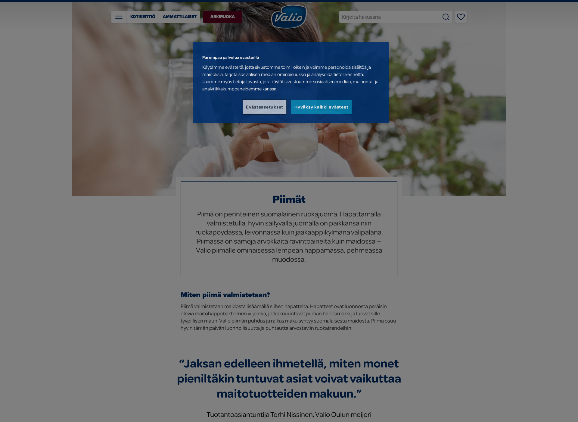 Skärmdump för pluspiimä.fi