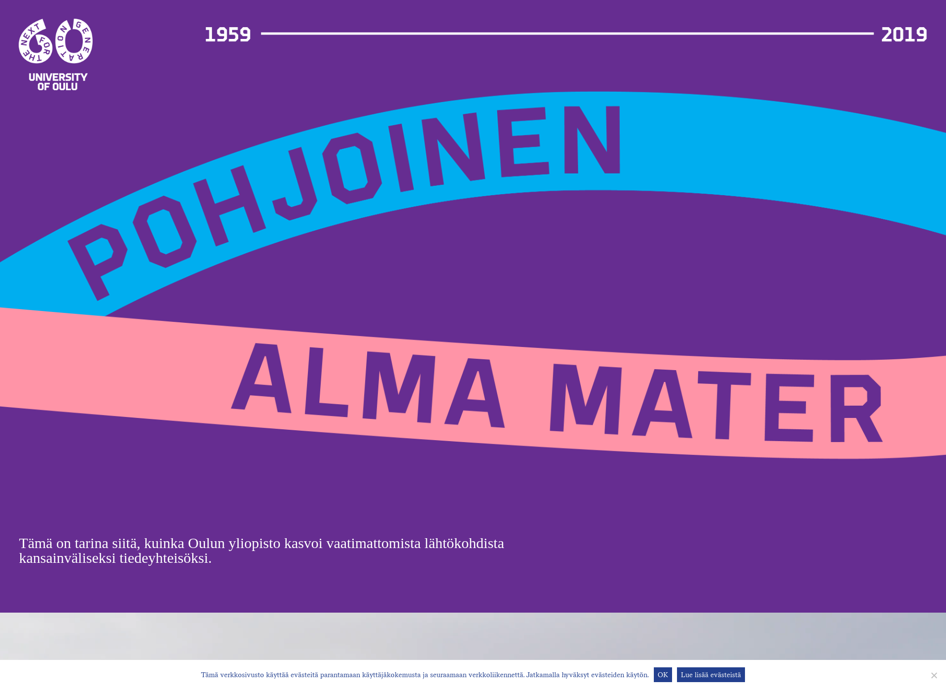 Skärmdump för pohjoinenalmamater.fi