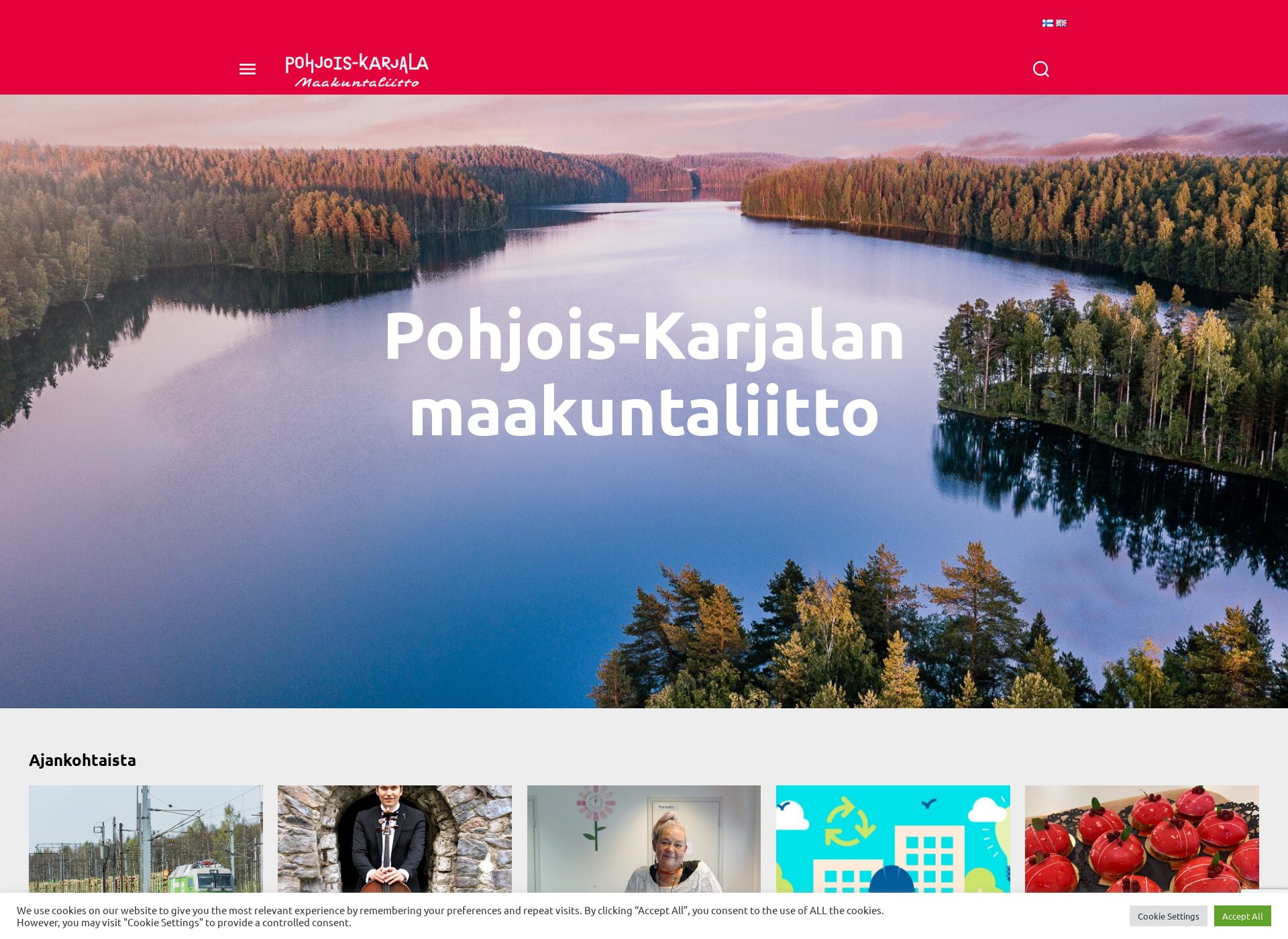 Skärmdump för pohjoiskarjala.fi