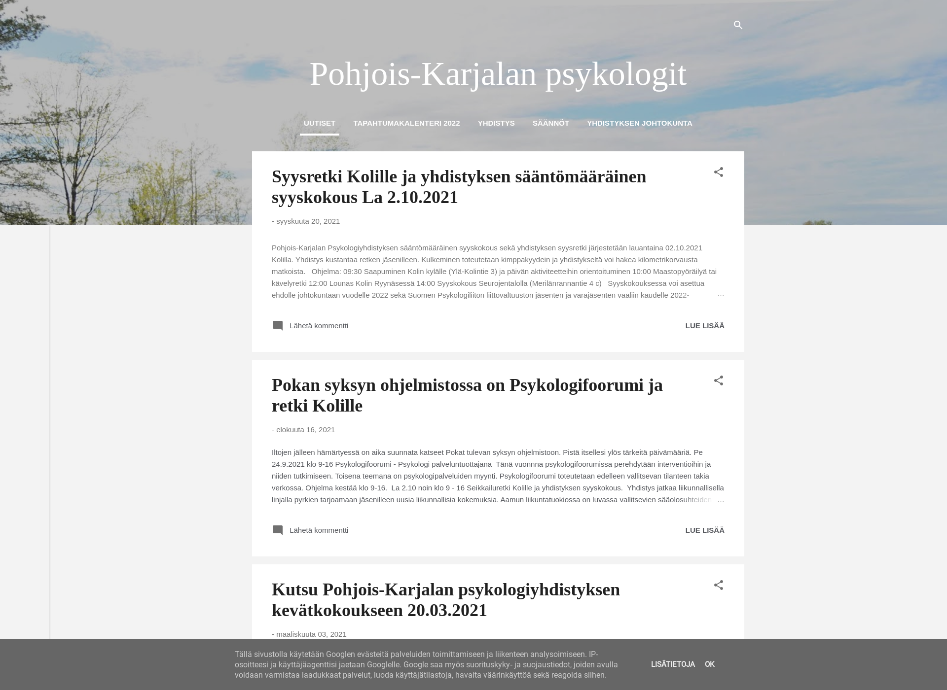 Skärmdump för pohjoiskarjalanpsykologit.fi