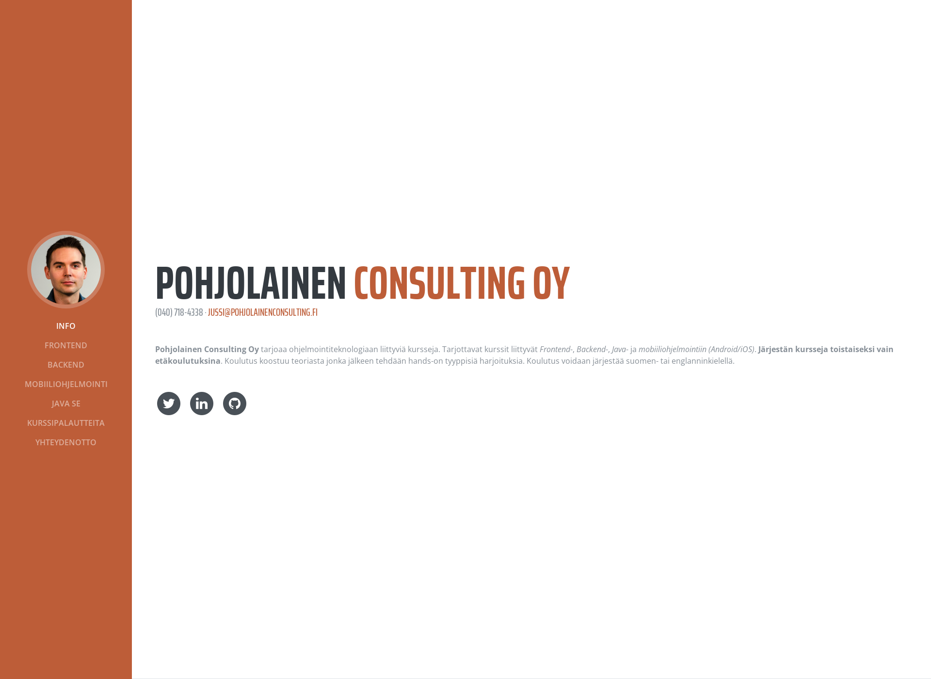 Screenshot for pohjolainenconsulting.fi
