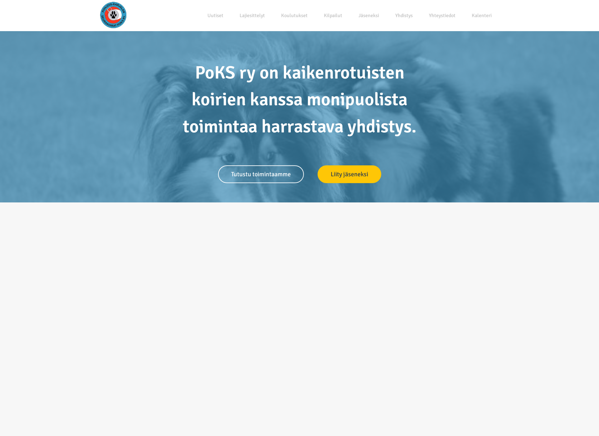Skärmdump för poks.fi