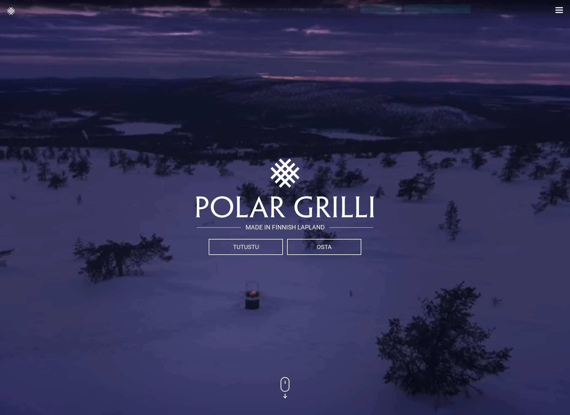 Screenshot for polargrilli.fi