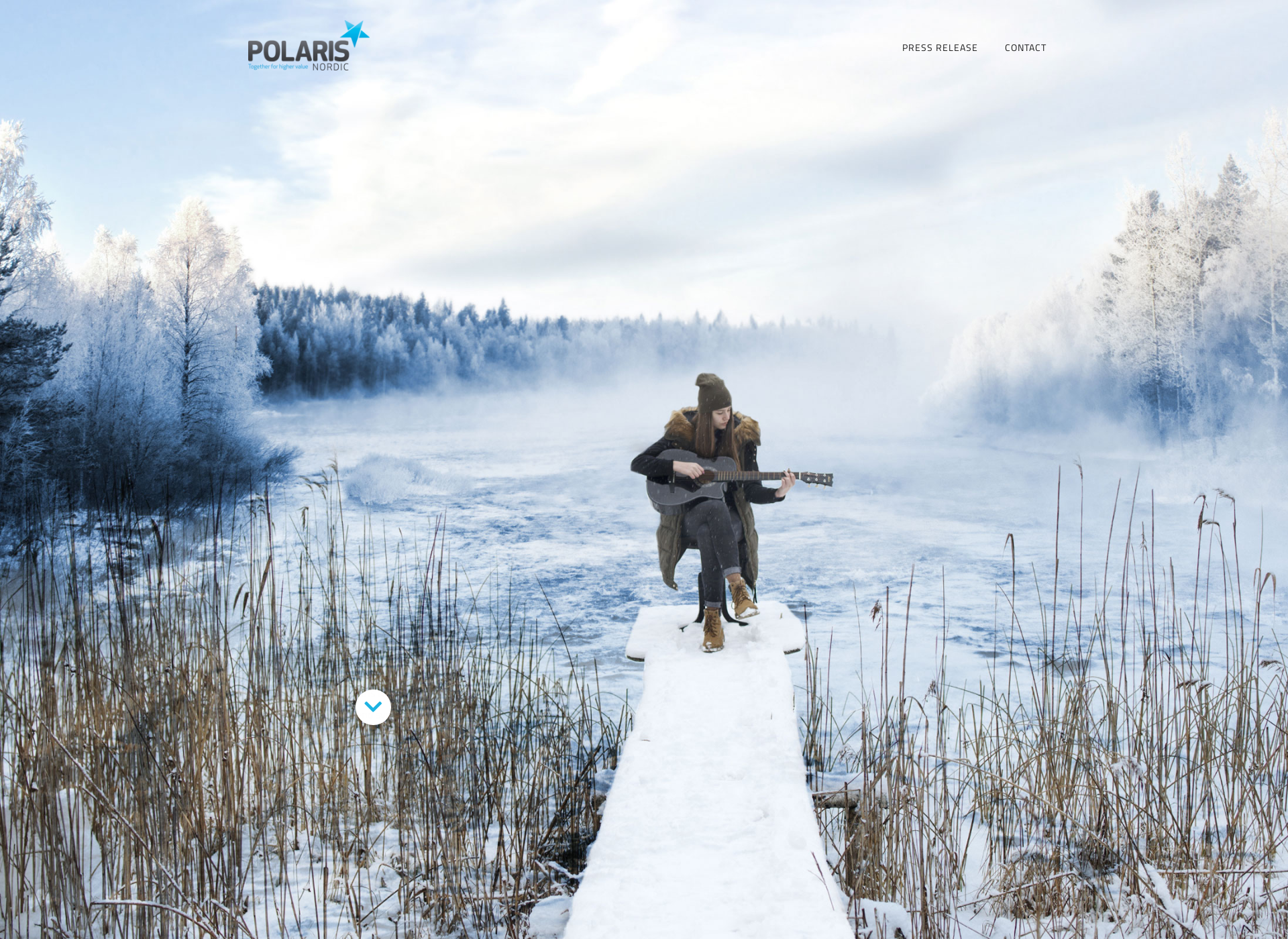 Skärmdump för polarisnordic.fi