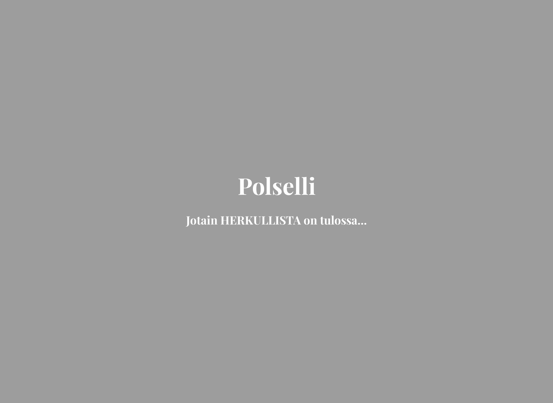 Skärmdump för polselli.fi