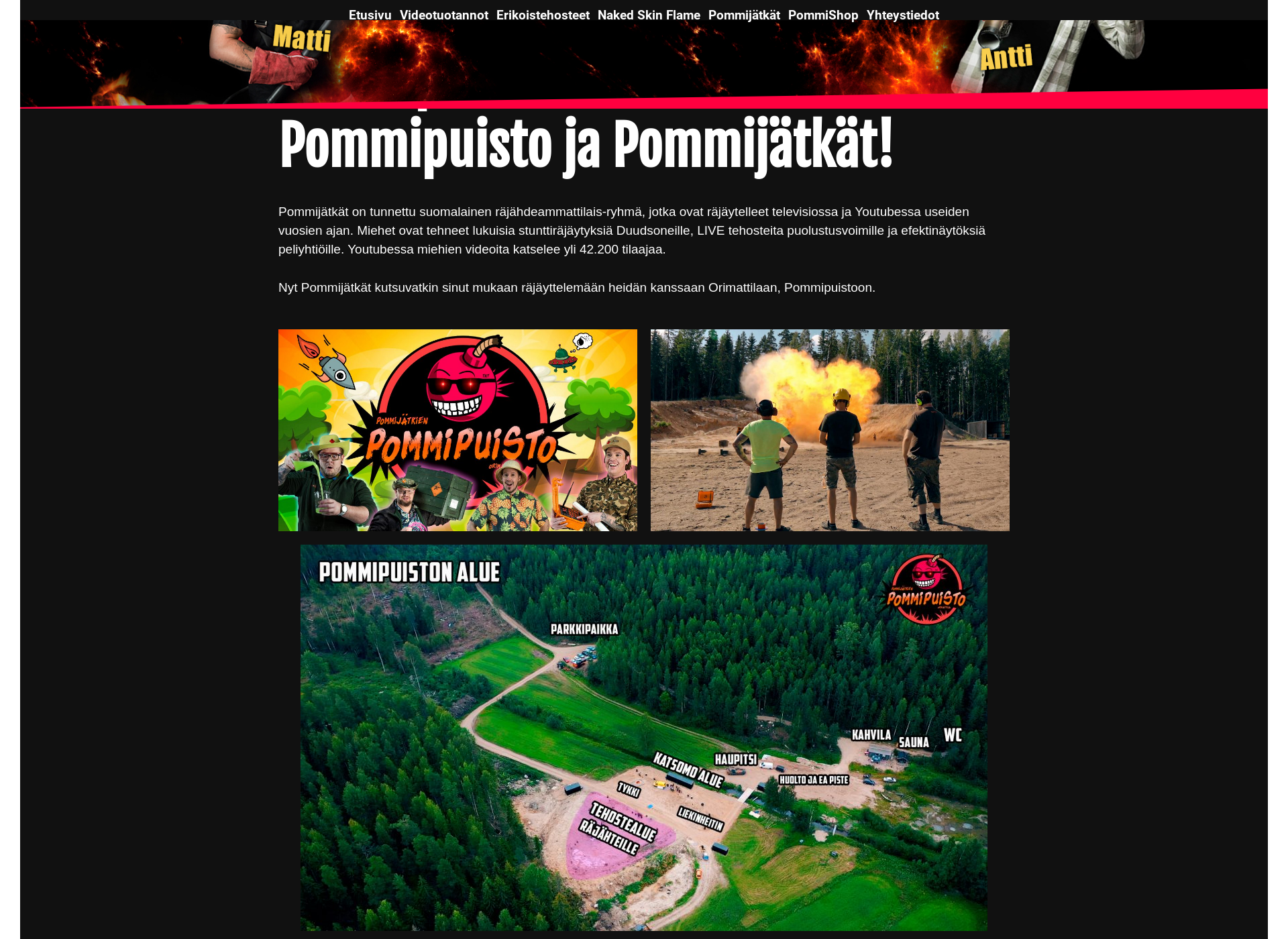 Skärmdump för pommipuisto.fi