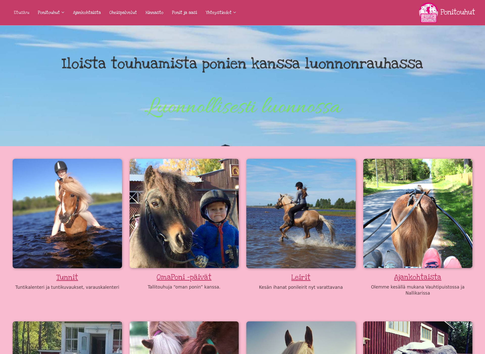 Skärmdump för ponitouhut.fi