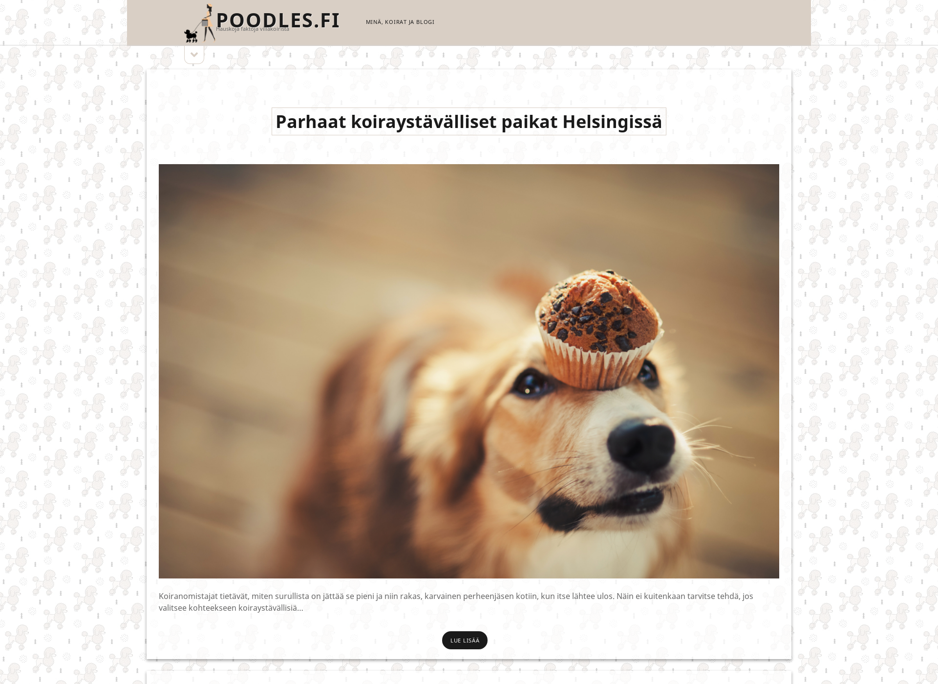 Skärmdump för poodles.fi