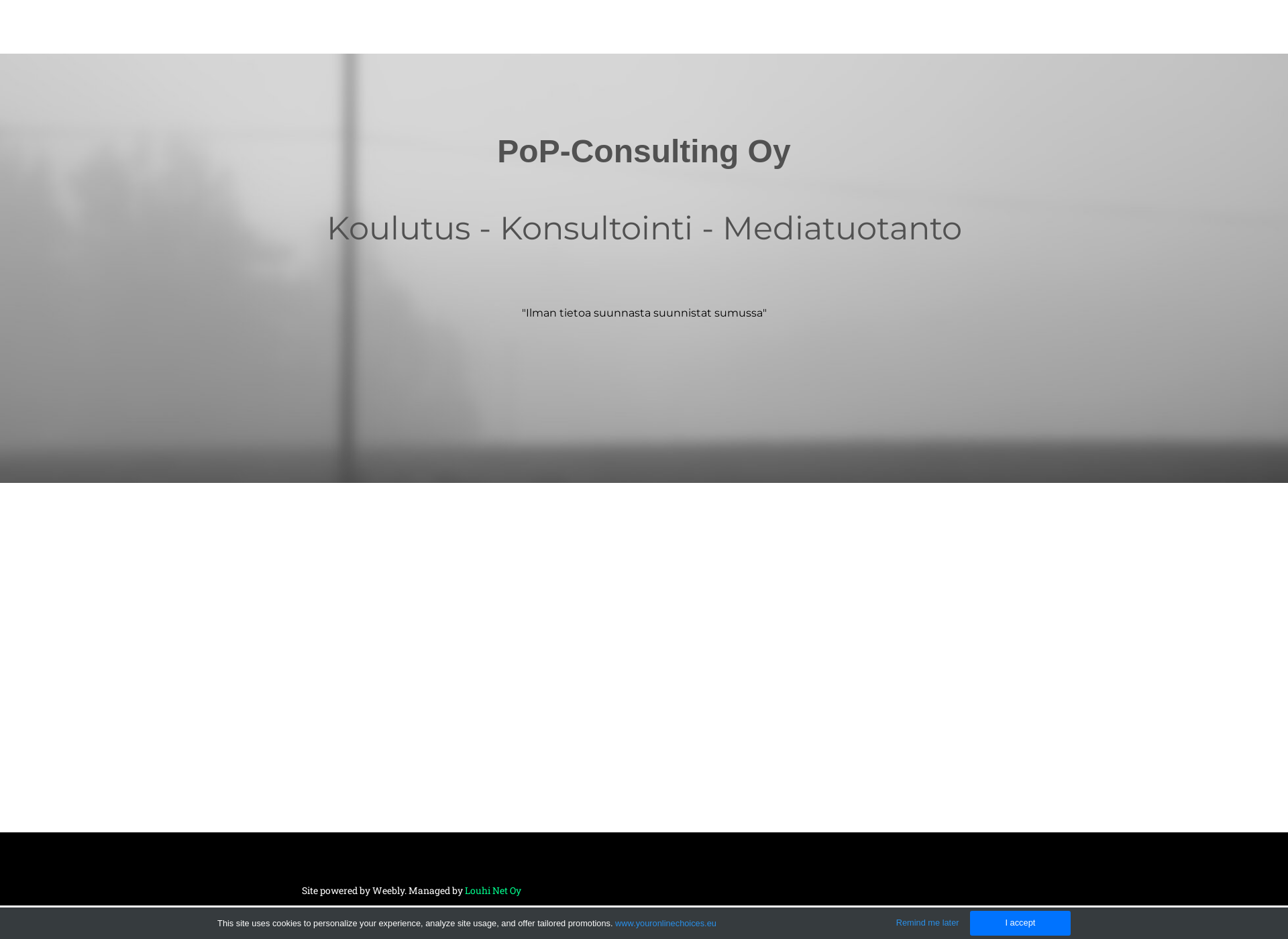 Skärmdump för pop-consulting.fi