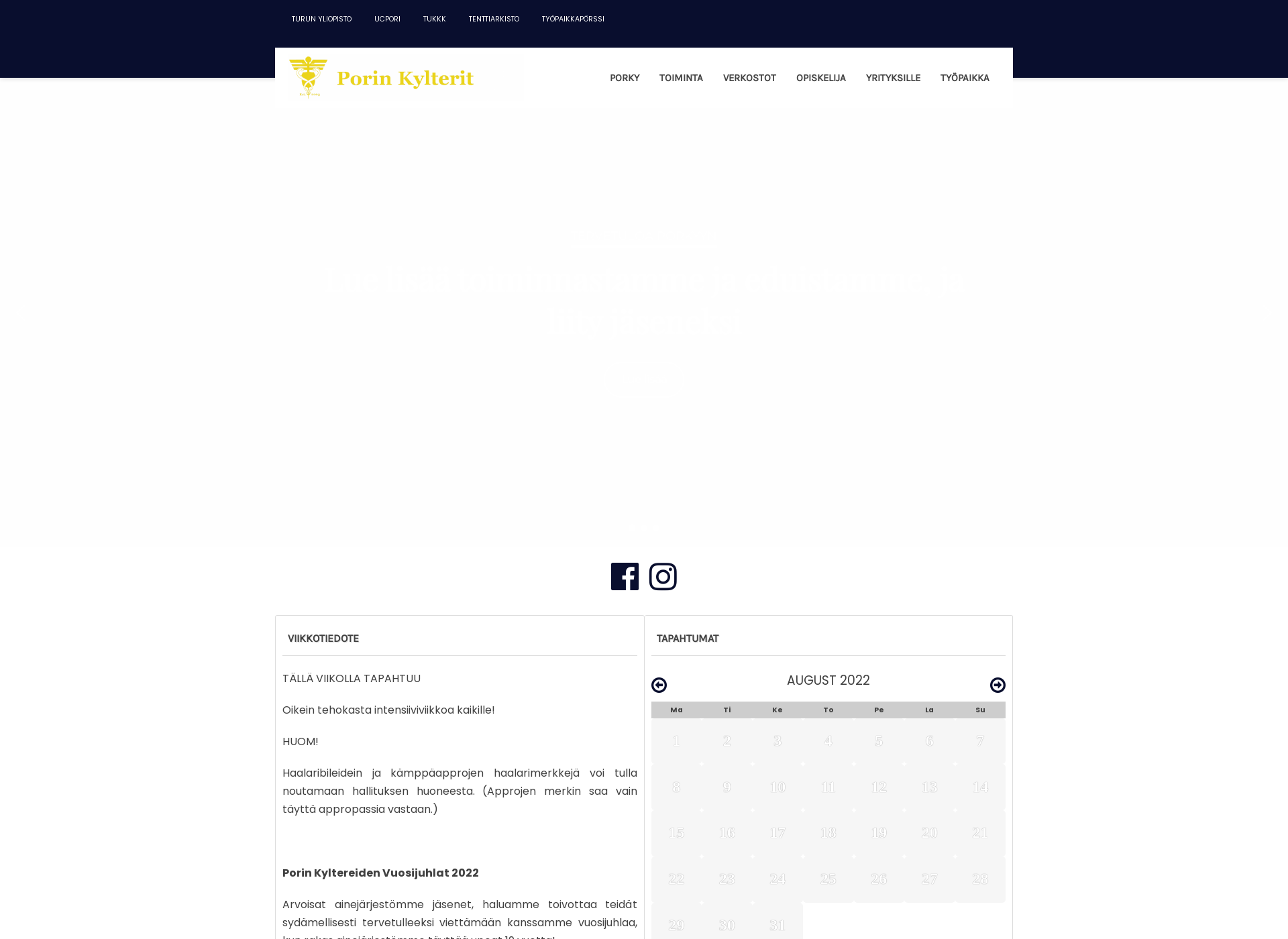 Screenshot for porinkylterit.fi